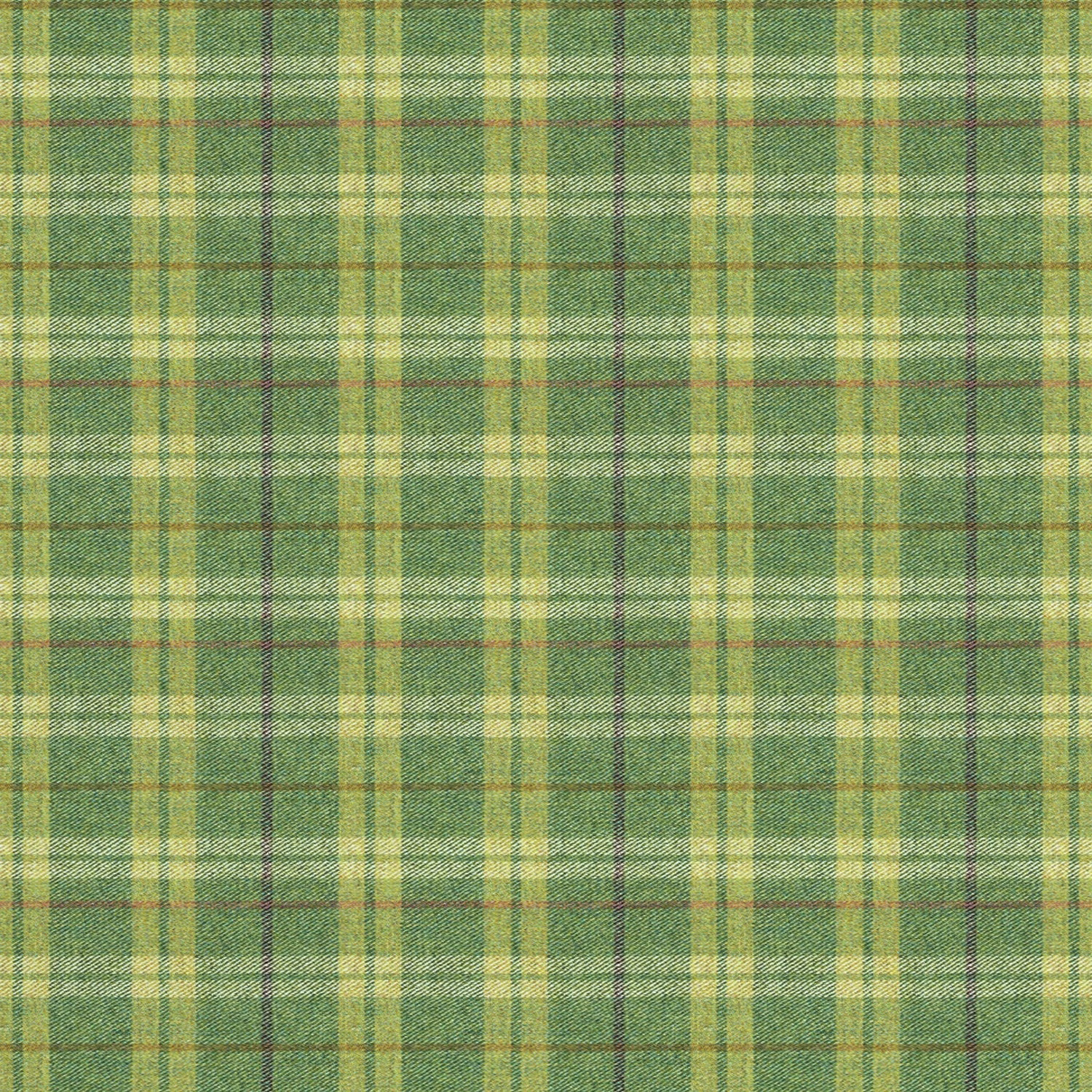 Samphrey Kellie fabric