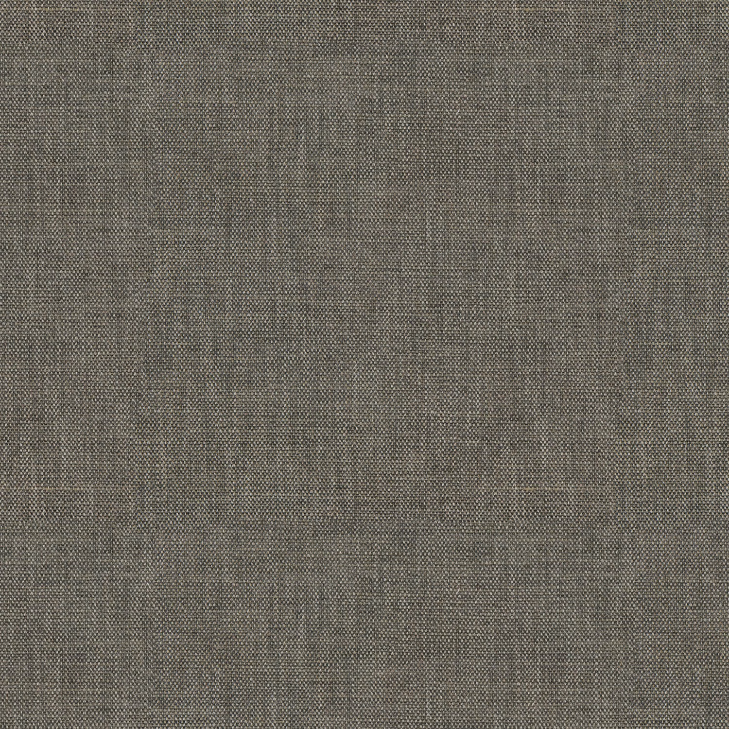 Close-up of deep elephant-grey plain weave with subtle salt-and-pepper texture