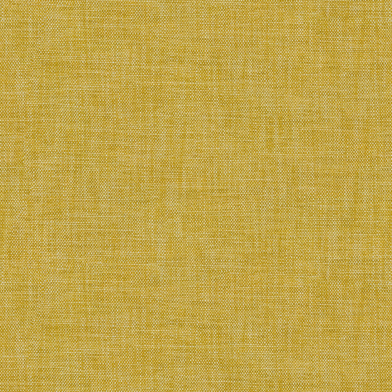 Close-up of warm lemon yellow plain woven fabric with fine crosshatch texture