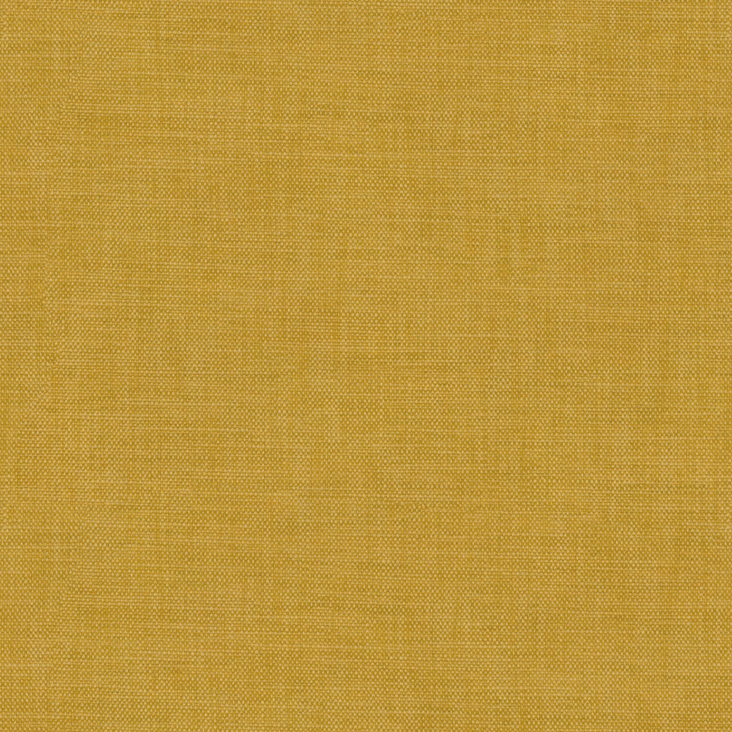 Warm mustard-gold plain woven upholstery fabric showing a fine crosshatch texture