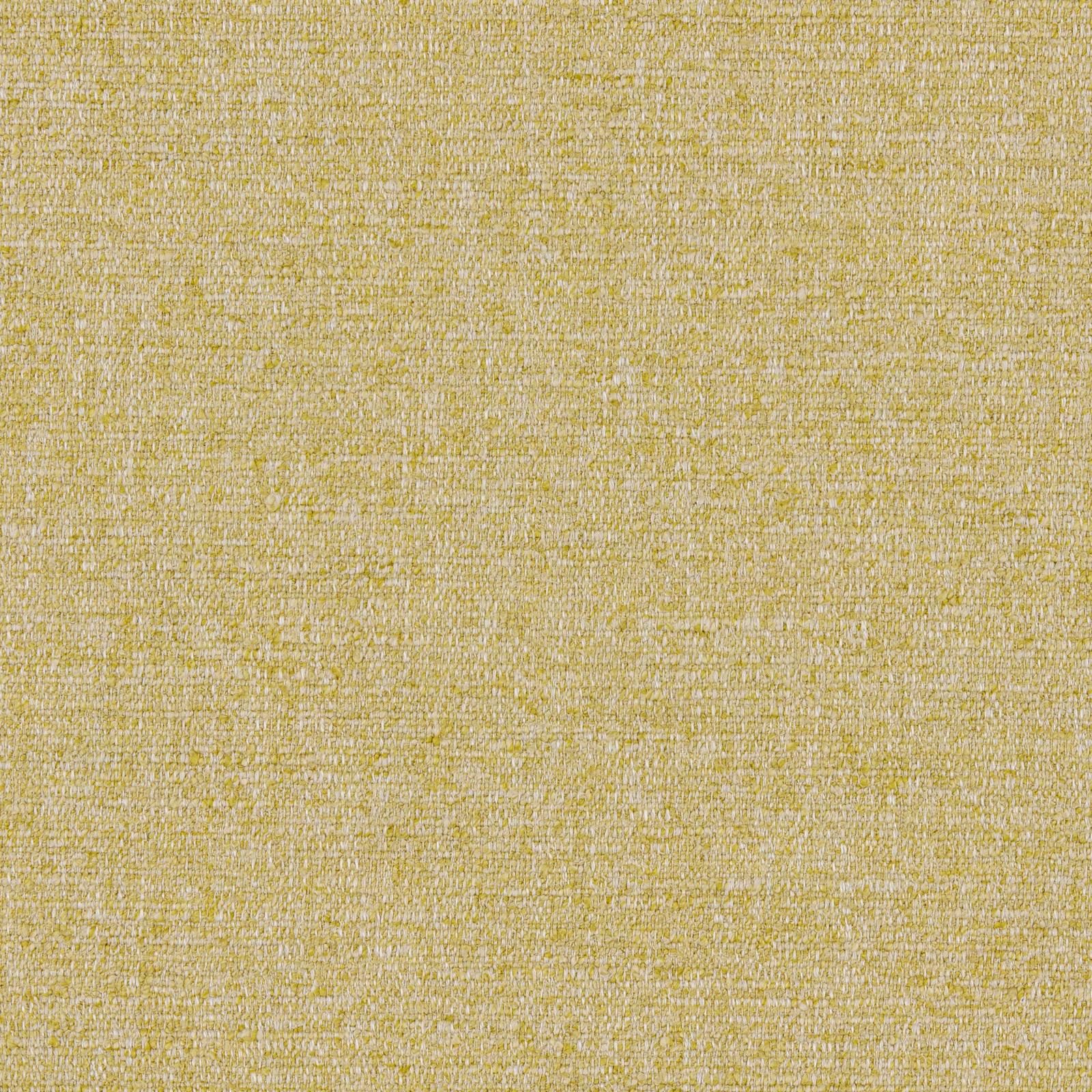 Close plain weave in warm yellow-gold with fine pale flecking
