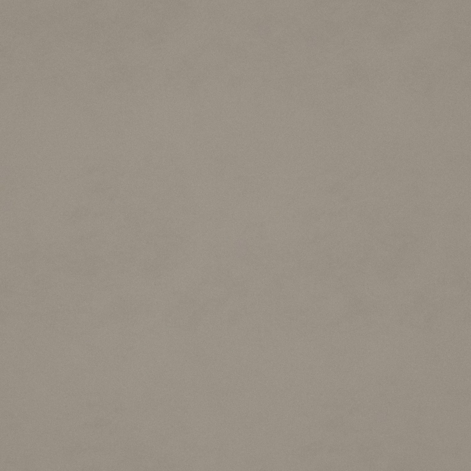 Close-up of plain feather grey velvet showing a softly varied short pile