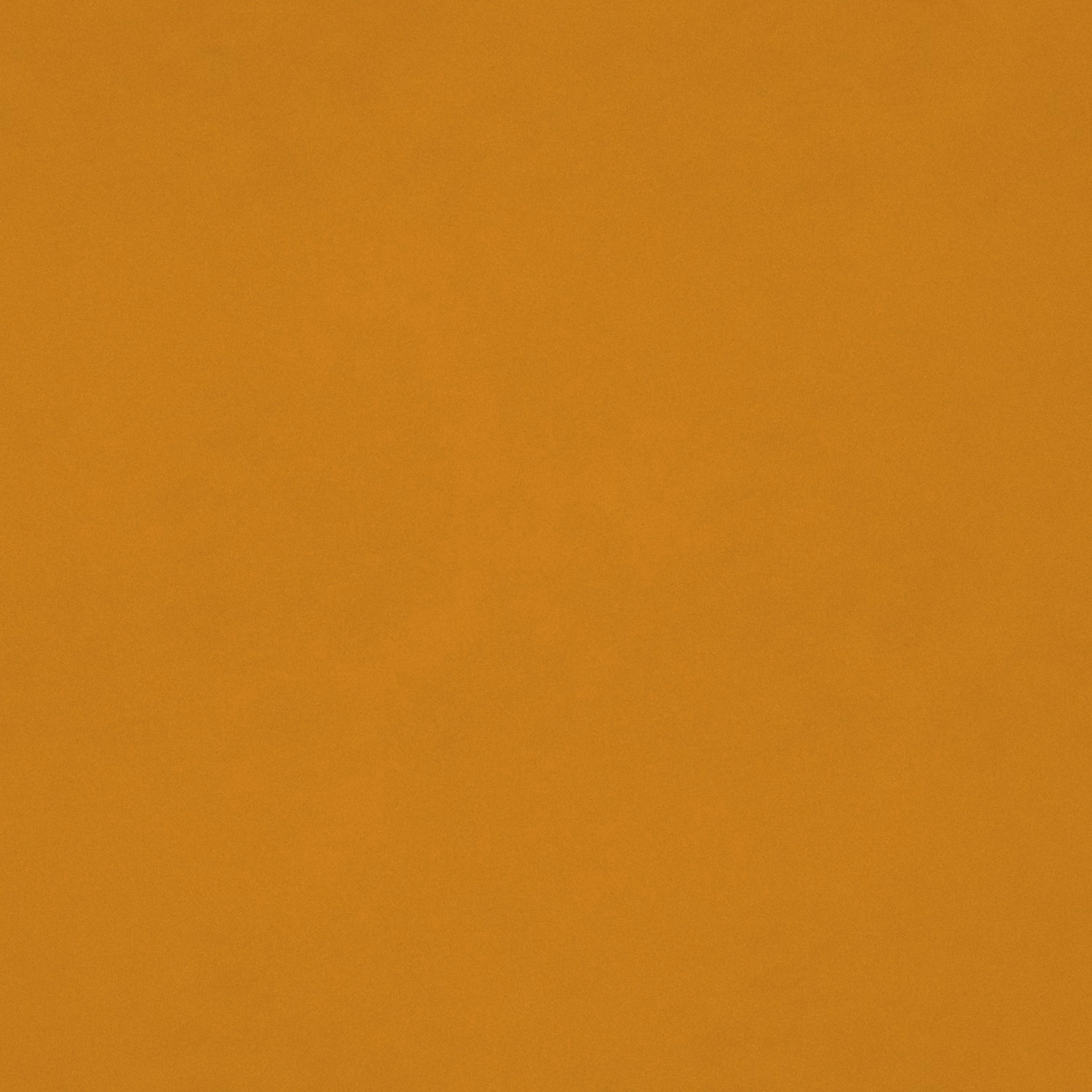 Warm maize-gold velvet with a softly shaded plain surface