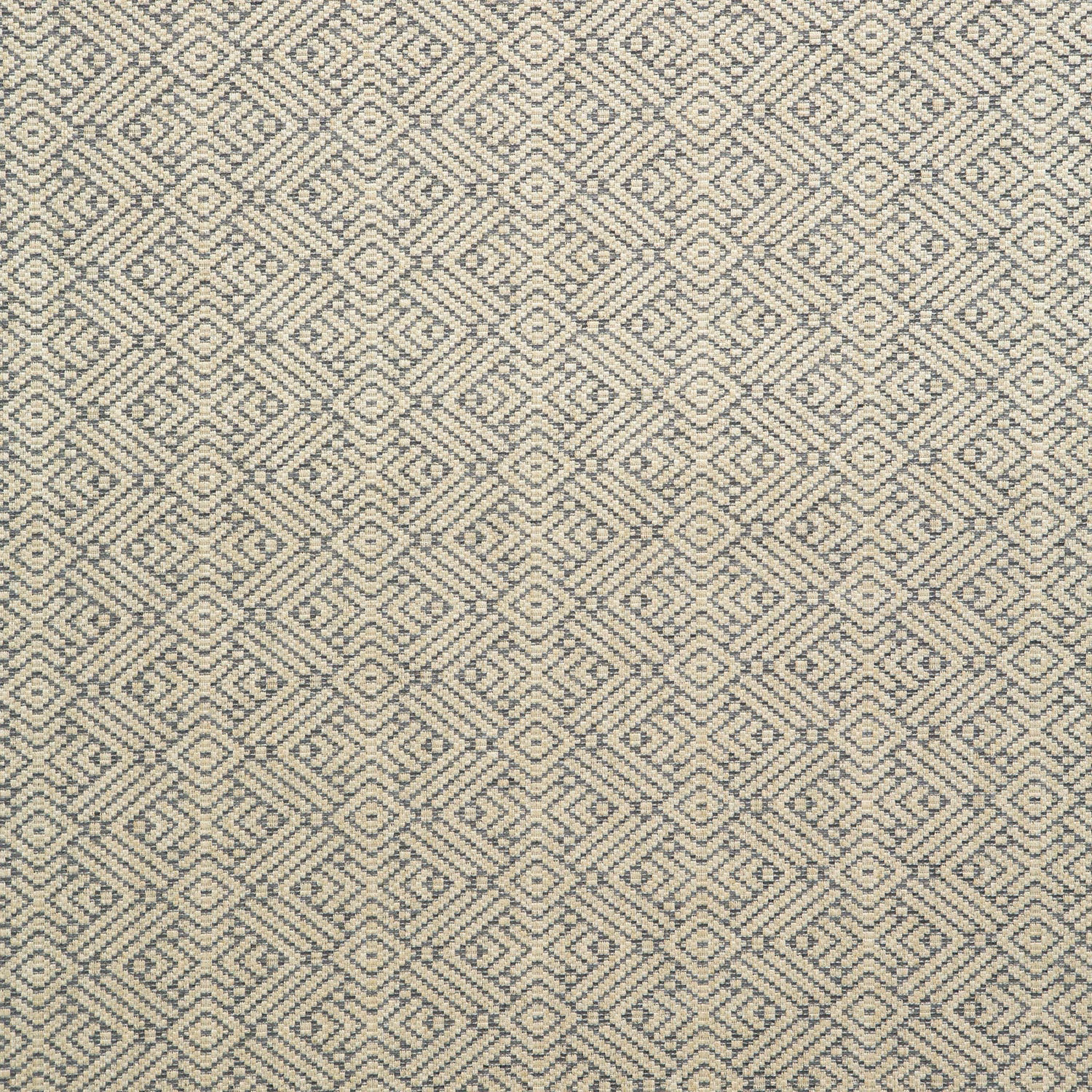 Tanuki Anthracite fabric
