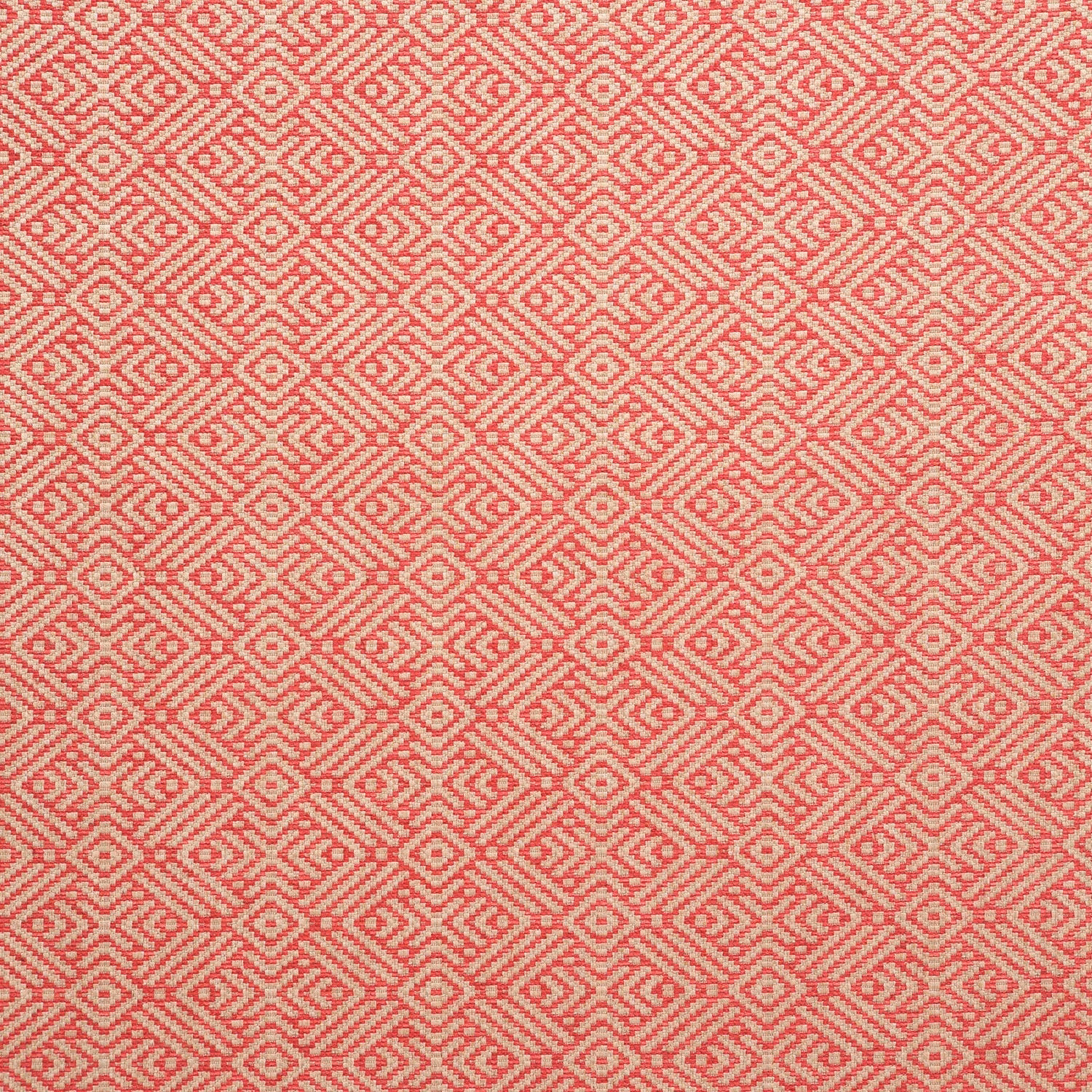 Tanuki Candy fabric