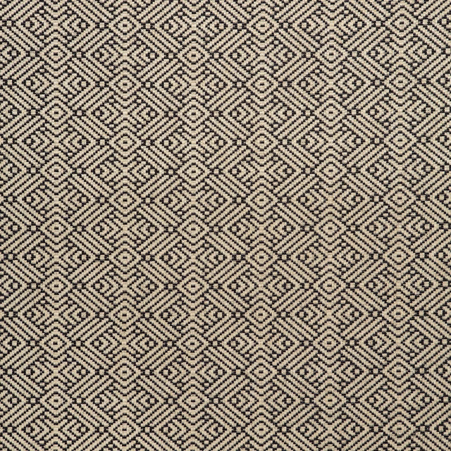 Tanuki Onyx fabric