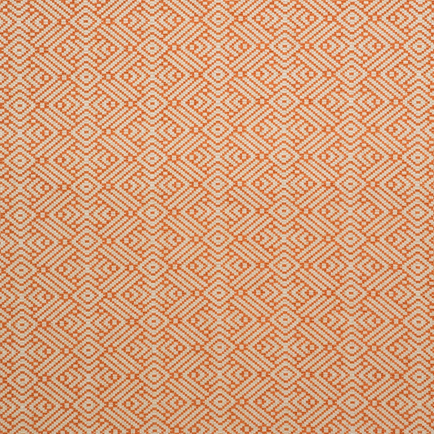 Tanuki Tango fabric