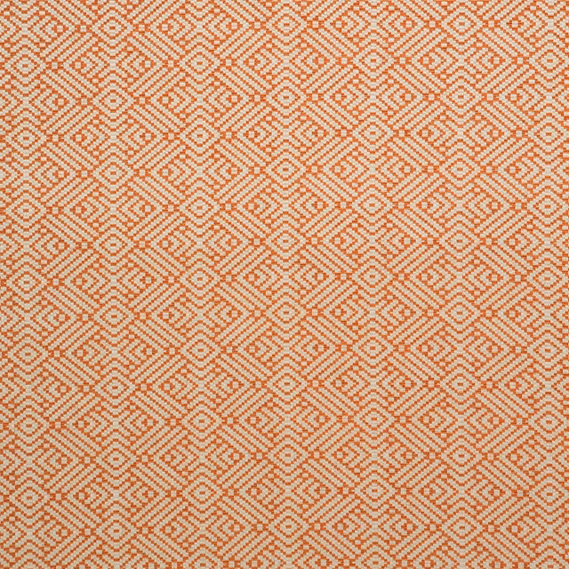 Tanuki Tango fabric