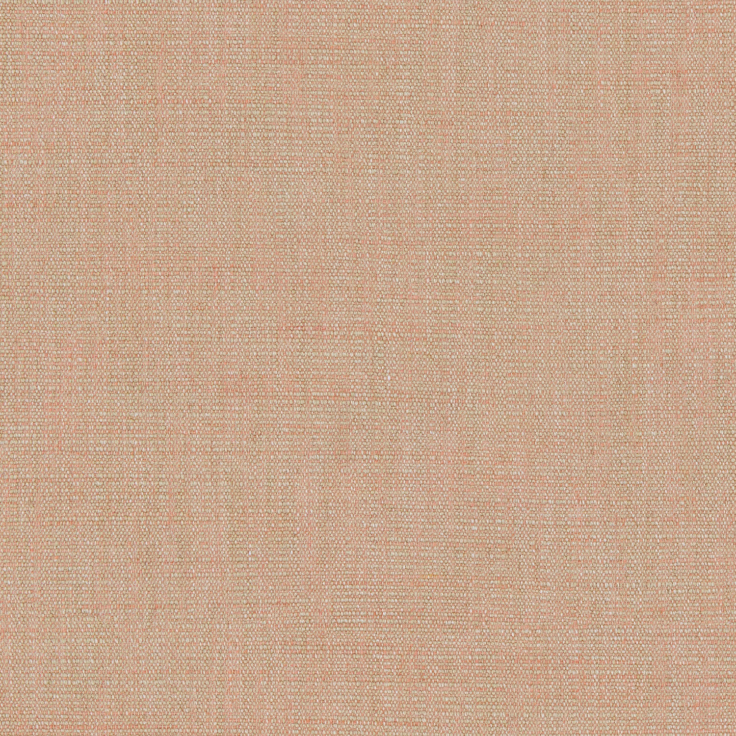 Close-up of warm pink champagne plain weave with fine cream crosshatch texture