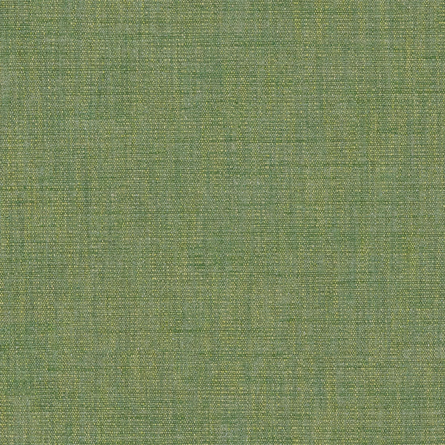 Close-up of muted winter moss green plain weave with fine yellow-green flecks