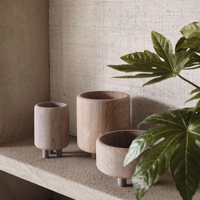 Warm whitewash wallpaper with fine woven texture, wood vessels and green leaves