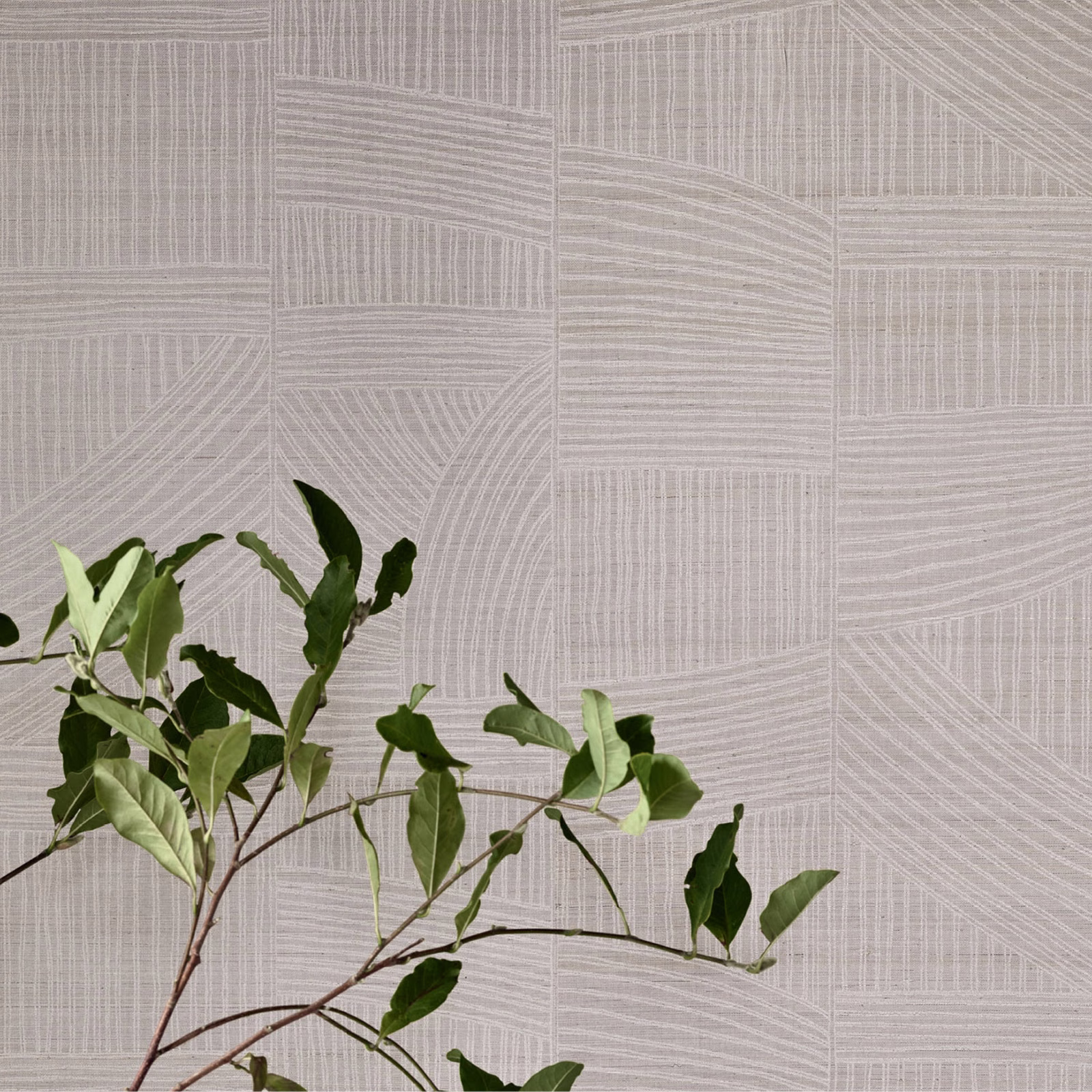 Pale powder-grey wallpaper with fine directional lines forming geometric panels