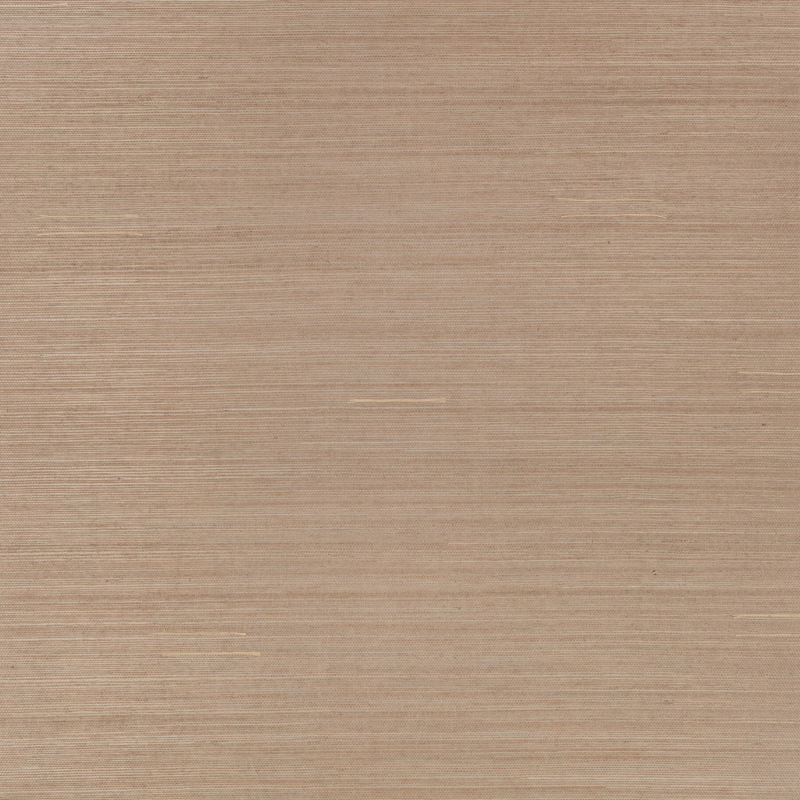 Warm taupe-beige wallpaper with fine horizontal striations and parchment-like texture