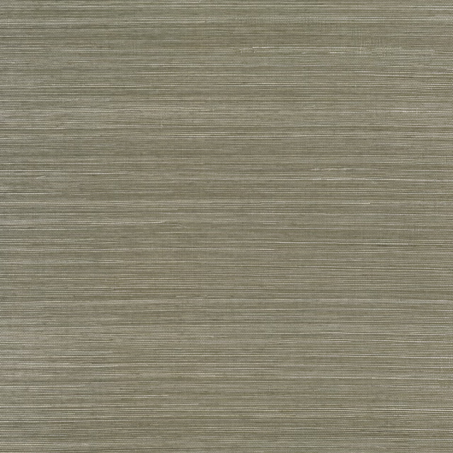 Muted olive-taupe wallpaper with dense horizontal striations and subtle woven variation