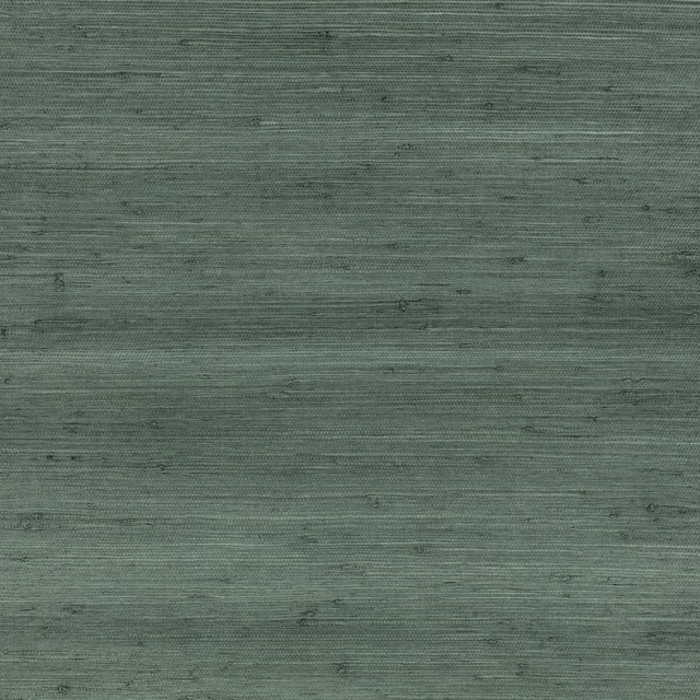 Muted blue-green grasscloth wallpaper with fine horizontal striations and weathered texture