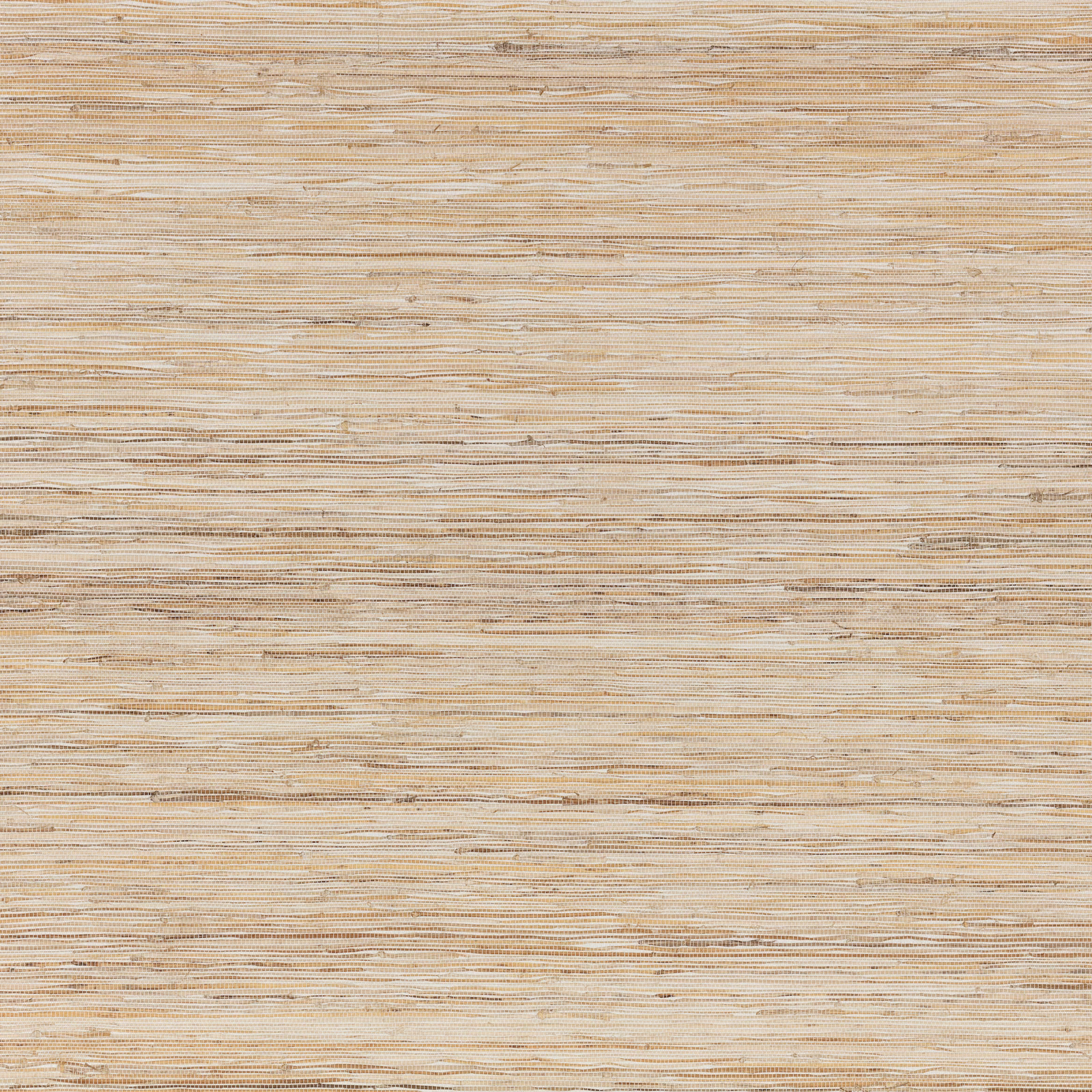 Pale straw-beige grasscloth wallpaper with fine irregular horizontal fibres