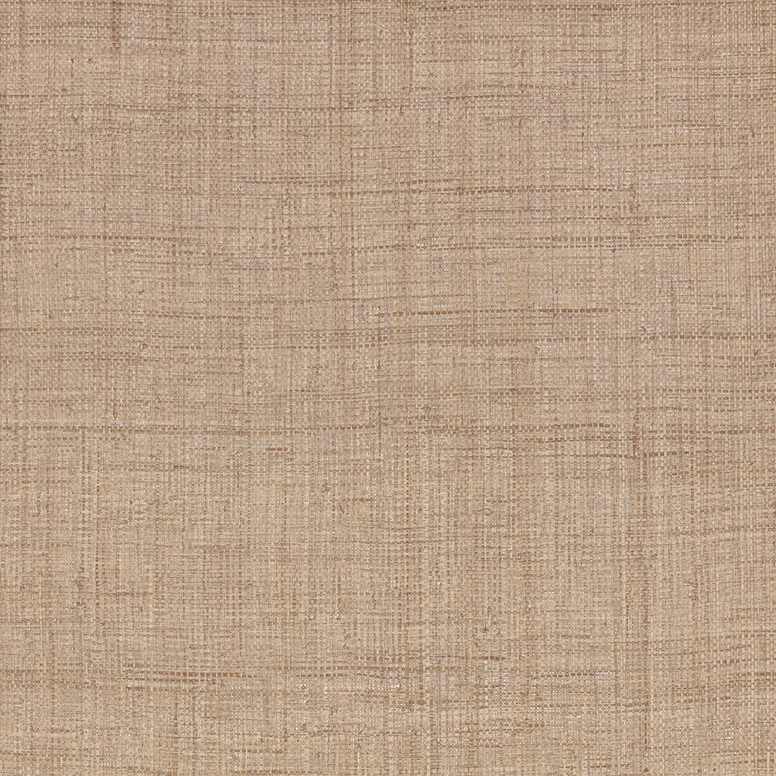Warm harvest-beige wallpaper with a fine irregular crosshatched grasscloth texture