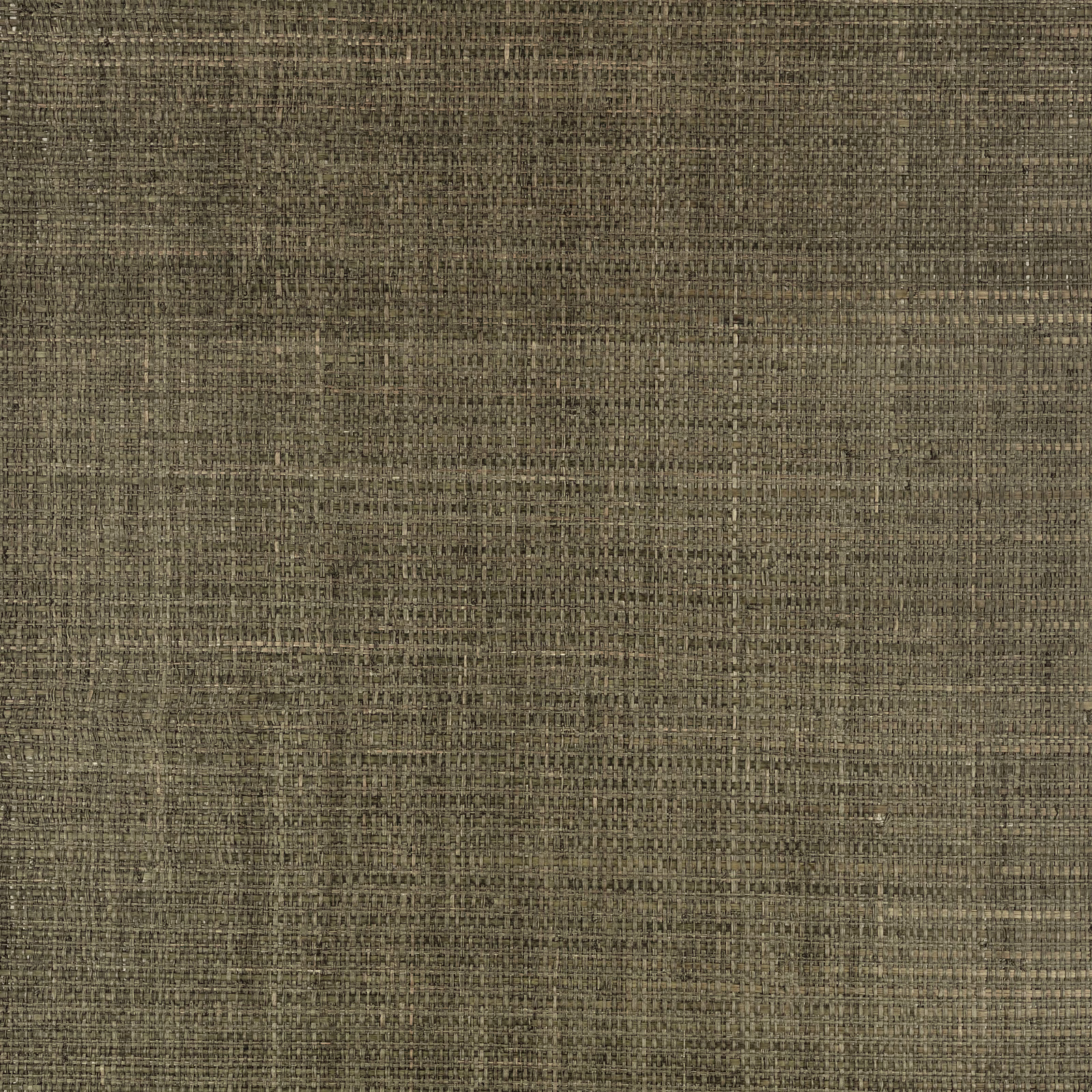 Muted olive-brown wallpaper with fine irregular woven grasscloth texture and tonal bands
