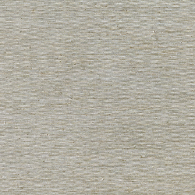 Pale sepia grasscloth wallpaper with fine horizontal lines and subtle tonal flecks