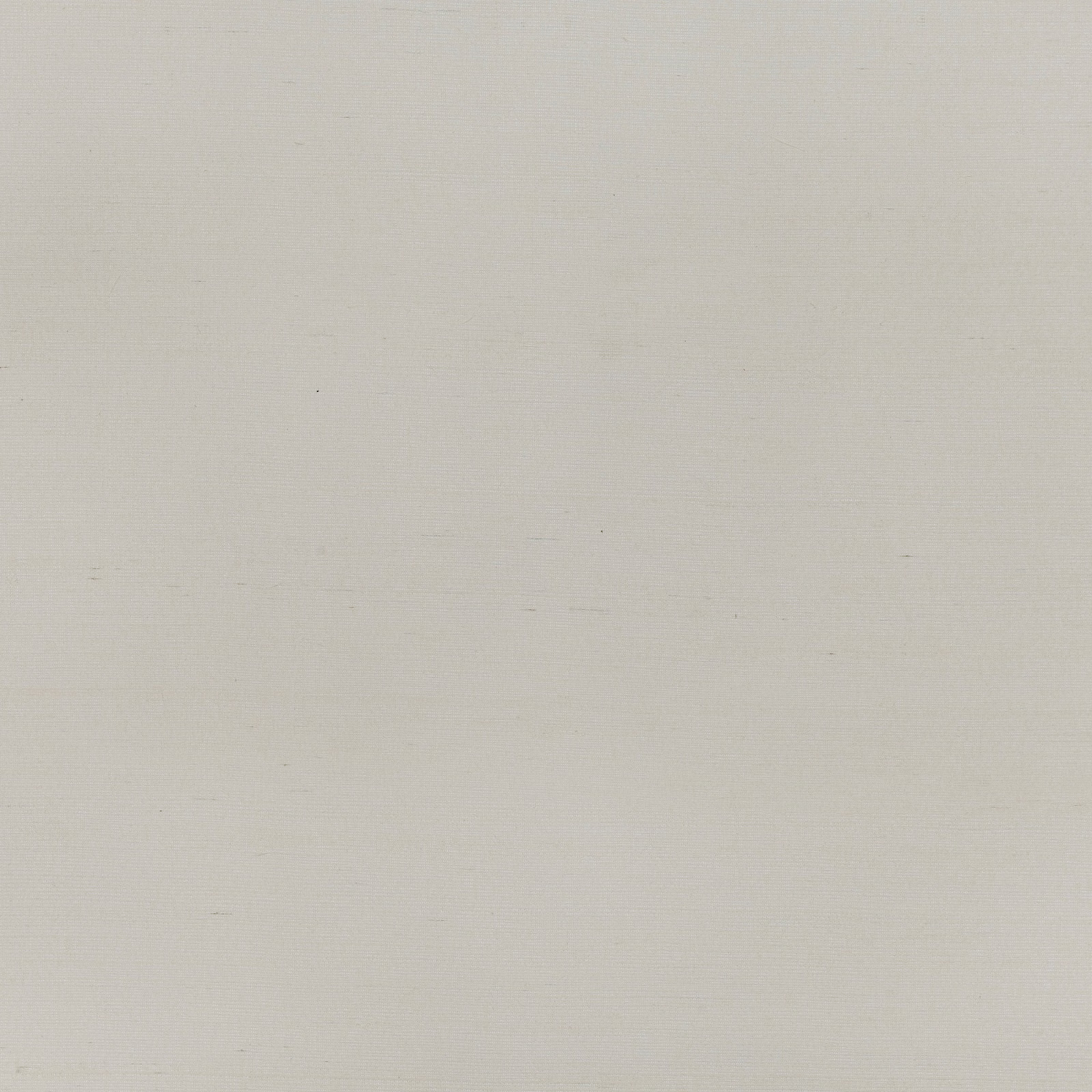 Pale alabaster wallpaper with barely visible fine horizontal surface texture