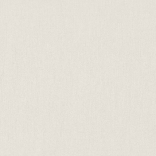 Pale ivory cream fabric with a fine, subtly vertical woven surface