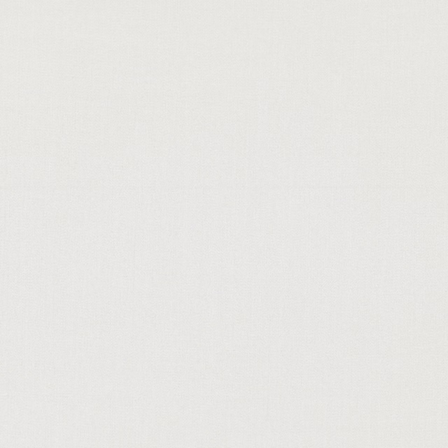 Pale silver-grey fabric swatch with a fine, barely textured woven surface