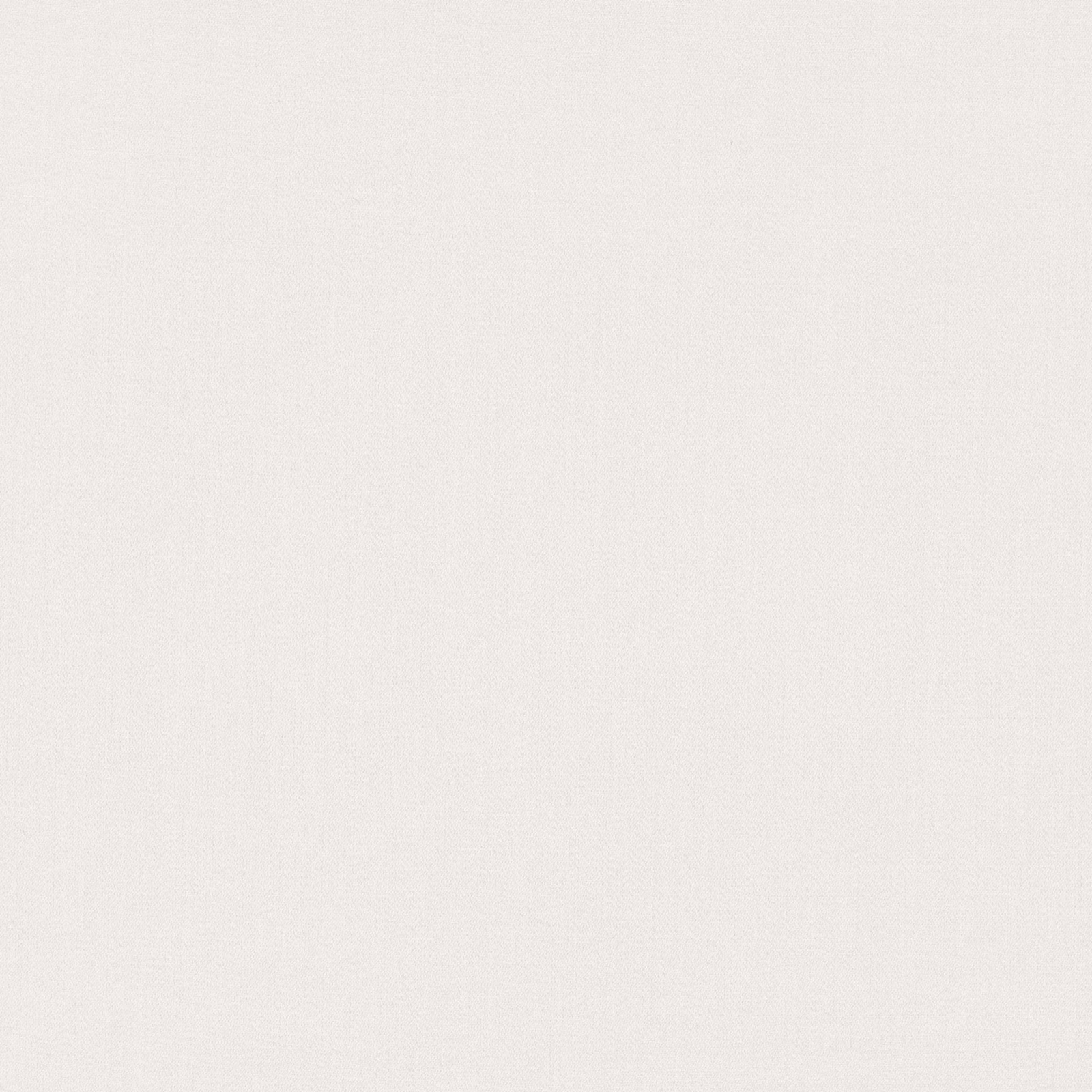 Pale silvery-ivory woven fabric showing a barely visible fine texture