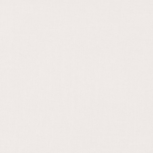 Pale silvery-ivory woven fabric showing a barely visible fine texture