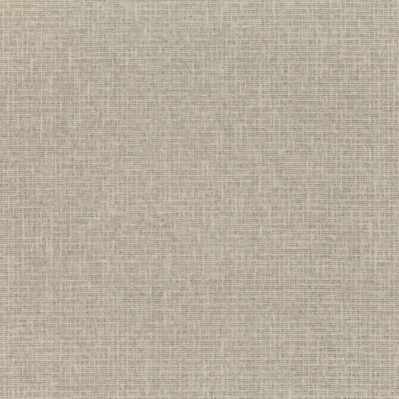 Pale stone-grey paperweave with fine intersecting threads and softly mottled depth