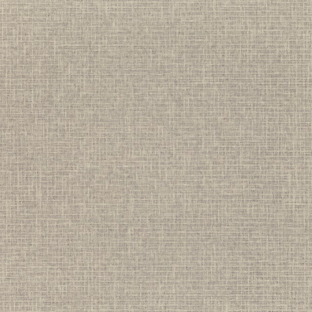 Pale stone-grey paperweave with fine intersecting threads and softly mottled depth