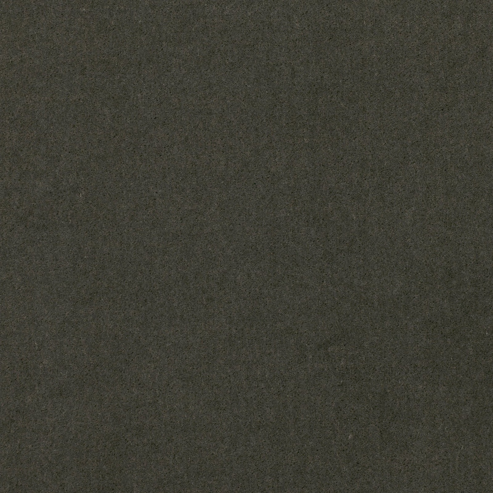 Dark gunmetal grey plush fabric with a subtle olive undertone and soft nap