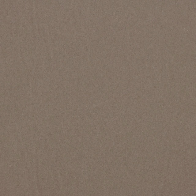 Warm taupe plush textile with subtle mottling and a softly shaded surface