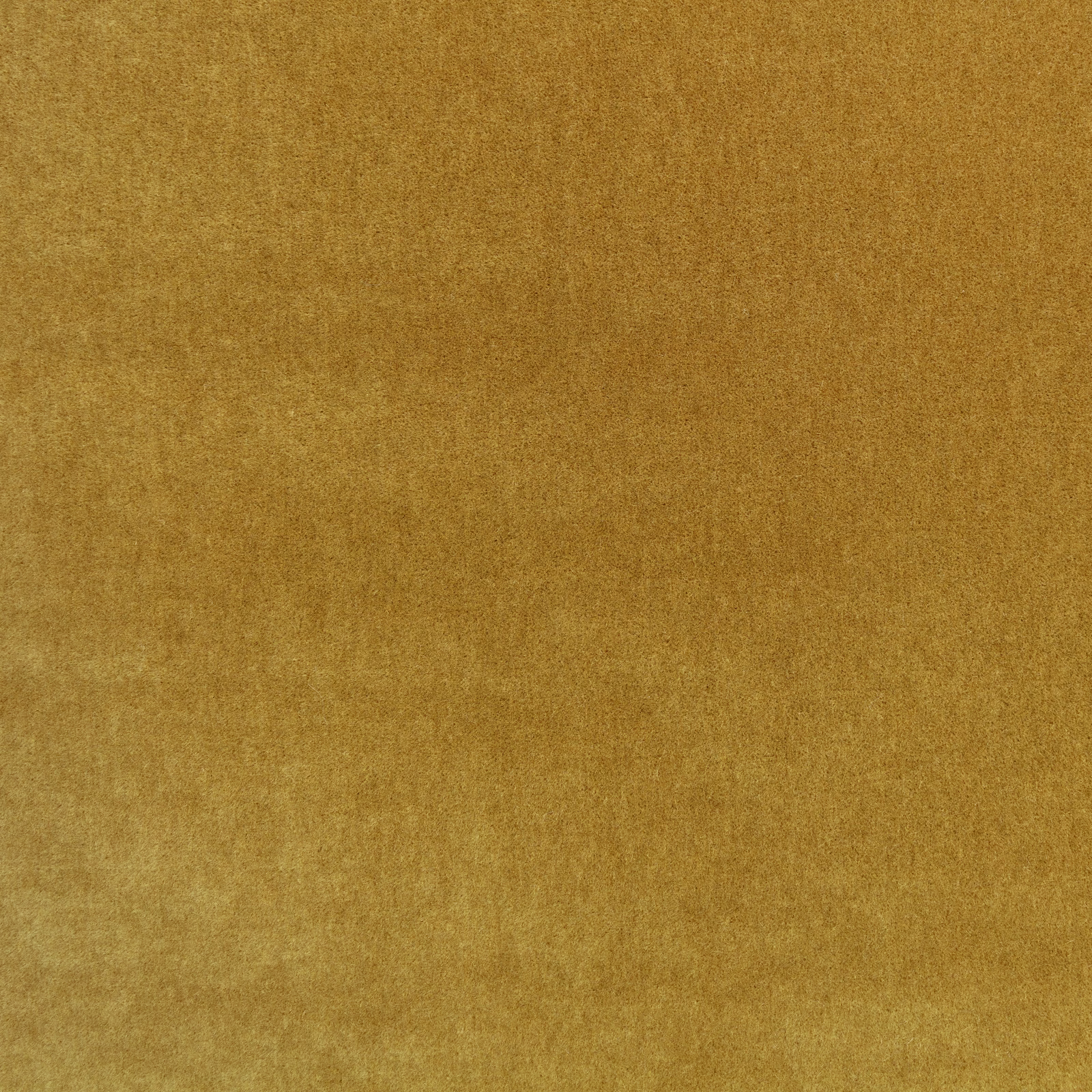 Warm ochre plush fabric with softly mottled shading and a tactile low pile