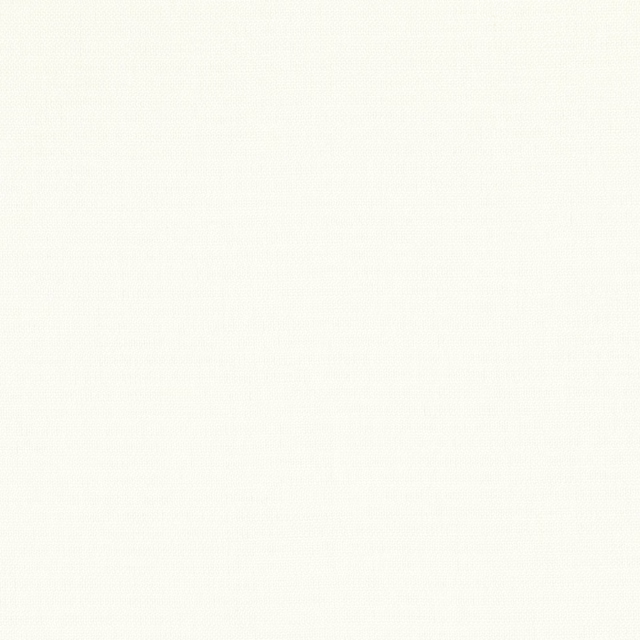 Close-up of ivory-white fabric with a fine, barely raised woven texture