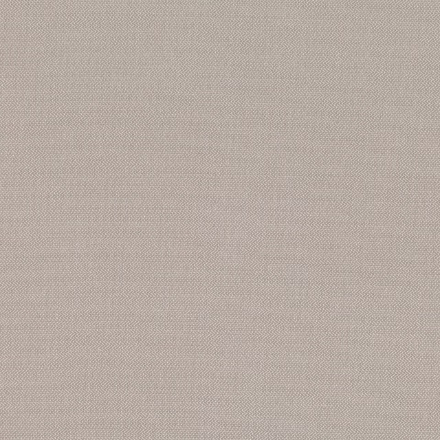 Pale warm taupe Roman fabric with a fine, tightly woven surface