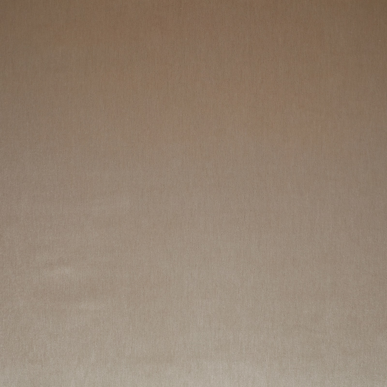Close-up of warm eggshell beige plain fabric with fine texture and subtle sheen