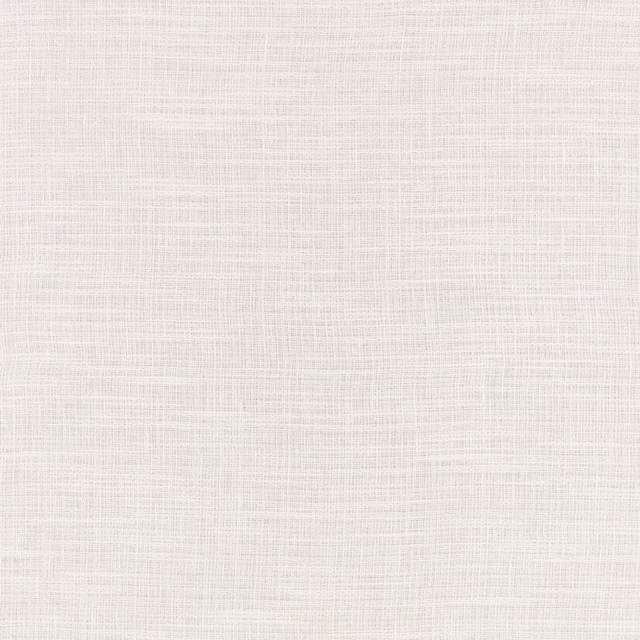 Pale plaster-cream sheer with fine crosswoven slubs and a softly open texture