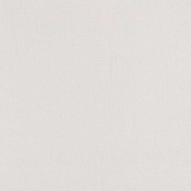 Pale French grey sheer fabric showing a fine, subtly slubbed woven texture