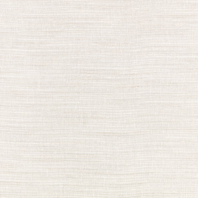 Pale silver-ivory sheer with fine horizontal slub texture and softly cloudy variation