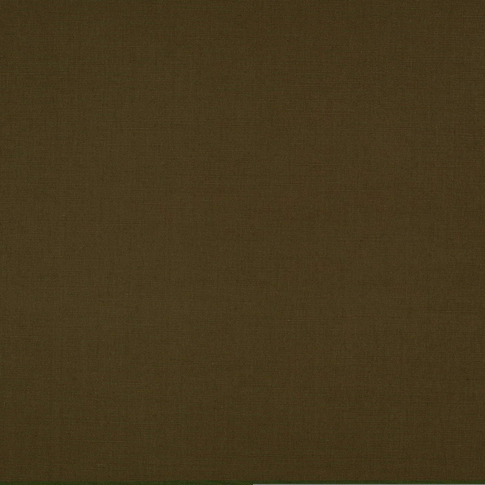 Deep olive-brown plain weave with fine subtly striated surface