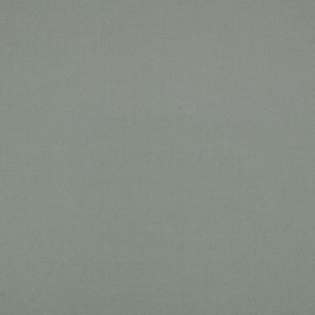 Muted lead-grey woven fabric with a cool green cast and fine texture