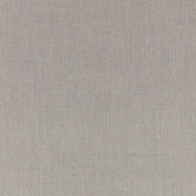 Pale Indian blue-grey plain weave with subtle crosswise texture