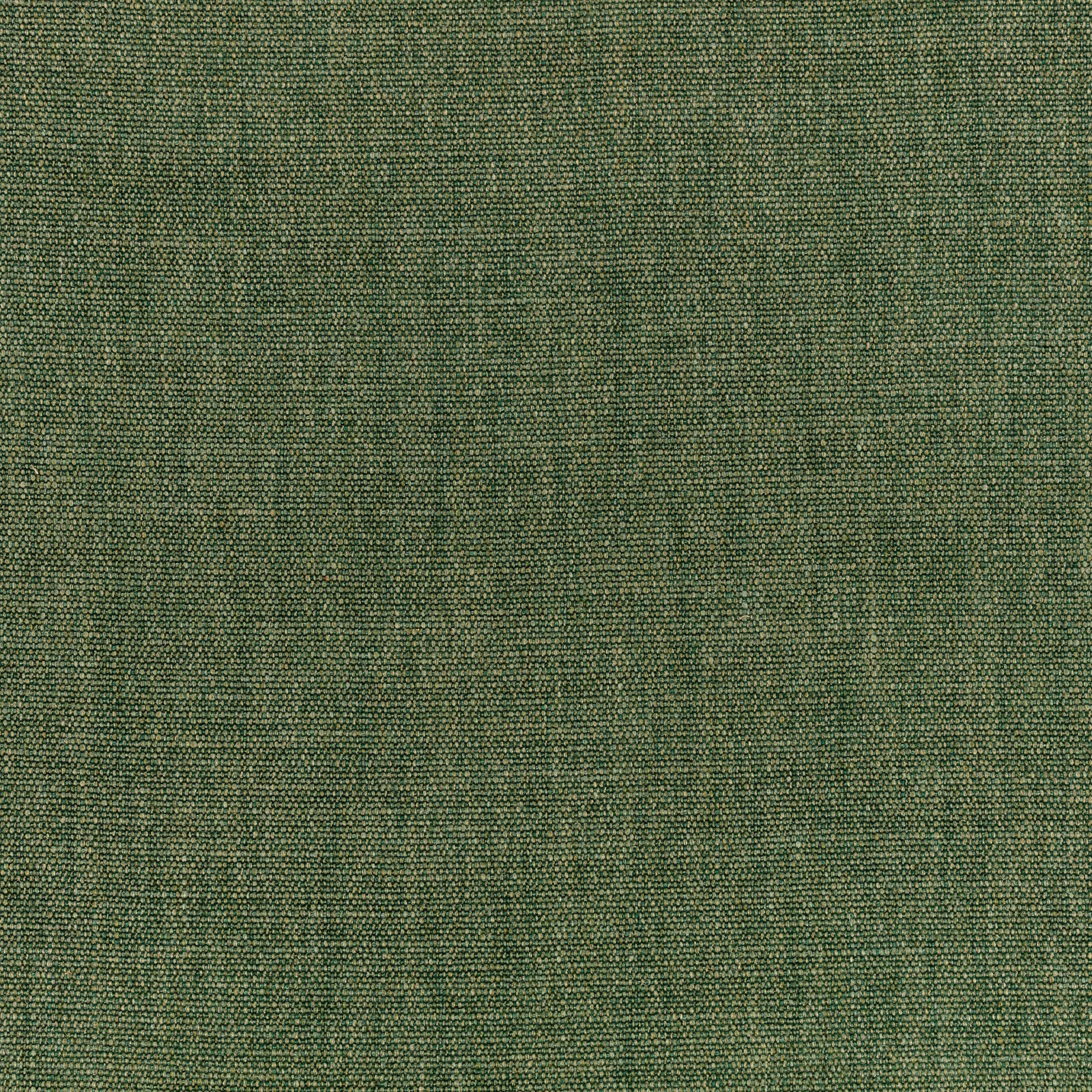 Close view of deep verdant green plain weave with fine tonal flecks