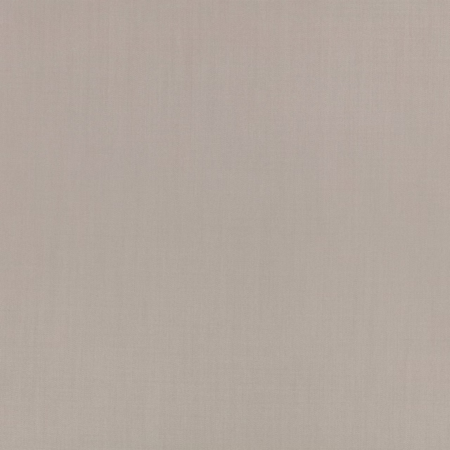 Warm cement-grey plain weave with a quiet, softly flecked surface