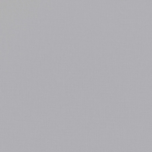 Pale cool-grey plain weave showing a fine, subtle crosshatch texture