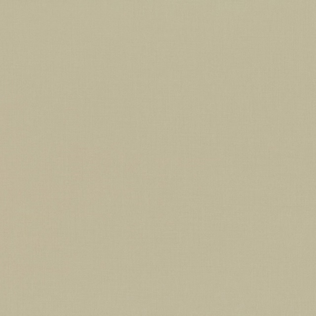 Close-up of pale olive plain-weave fabric with a soft khaki cast and fine texture