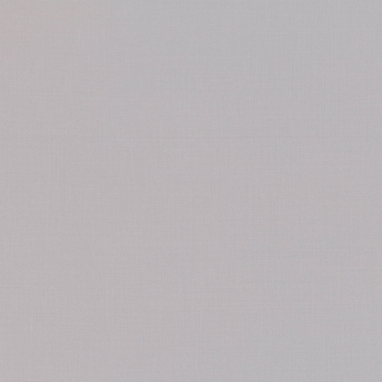 Cool pale-grey plain weave with a softly mottled, subtly vertical surface