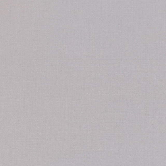 Cool pale-grey plain weave with a softly mottled, subtly vertical surface