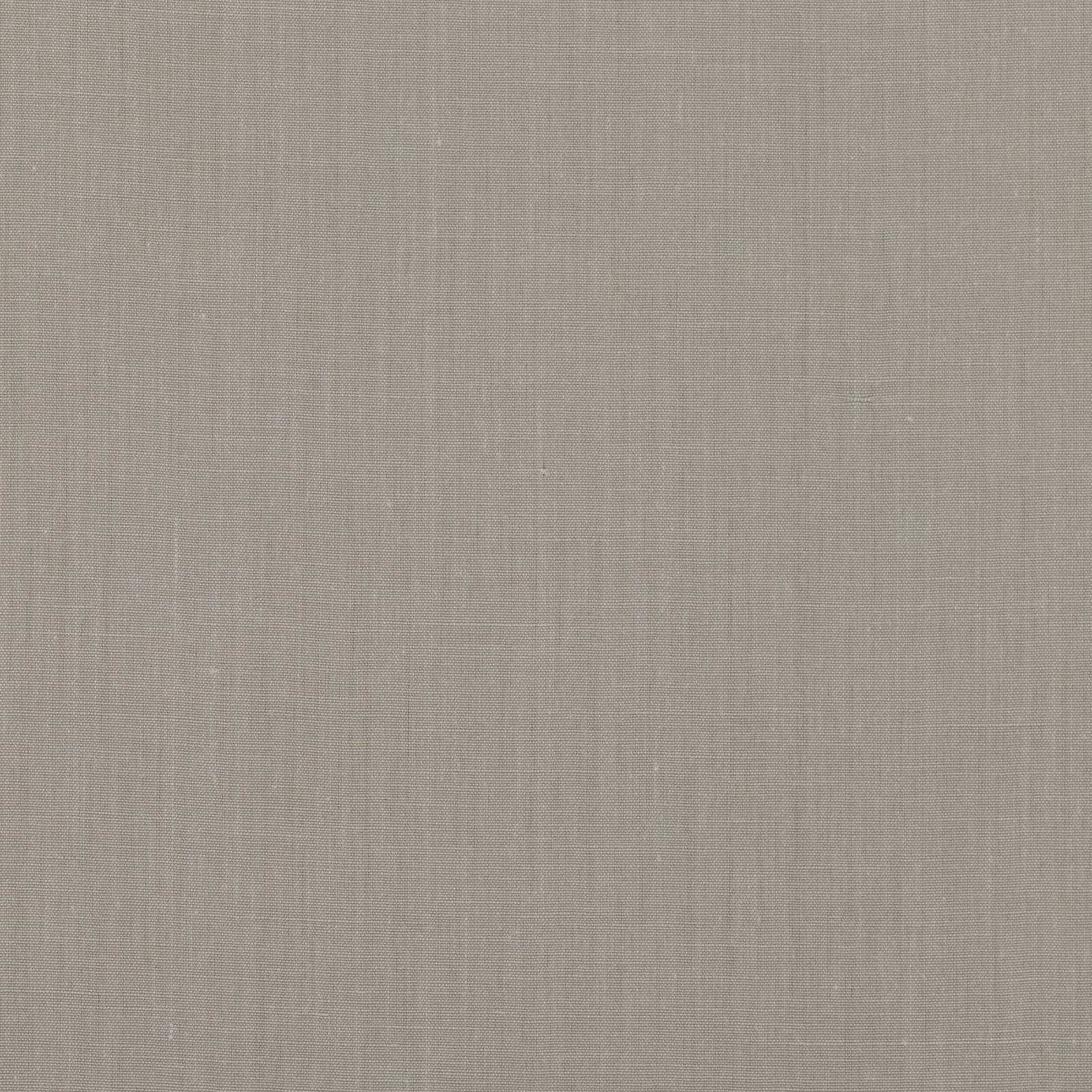 Muted silverbirch-grey plain weave with fine vertical and horizontal texture