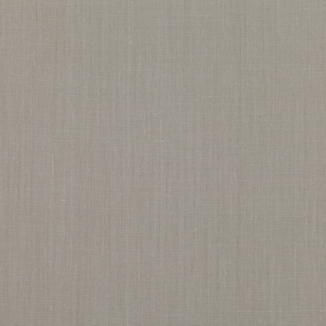 Muted silverbirch-grey plain weave with fine vertical and horizontal texture